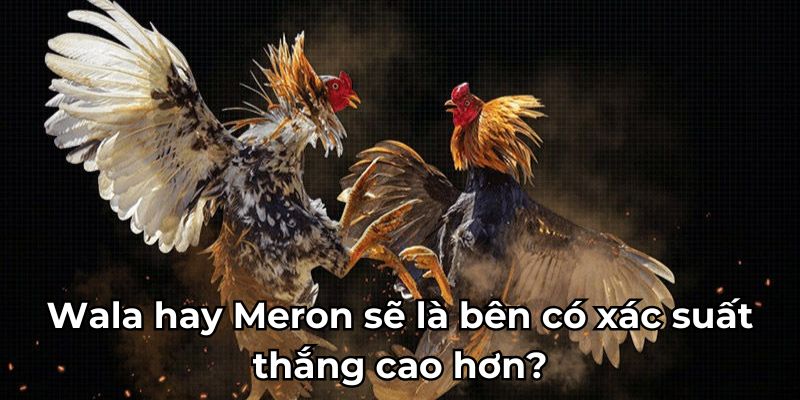 Wala hay Meron sẽ là bên có xác suất thắng cao hơn?